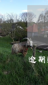 逾期账单一次性还完但欠款未消 逾期账单一次性还完但欠款未消