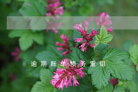 逾期账单债务重组 逾期账单债务重组