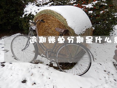 逾期账单分期是什么意思 逾期账单分期是什么意思