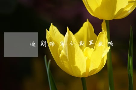 逾期账单分期算数吗 逾期账单分期算数吗