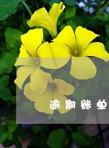 逾期账单分期还会被打电话吗