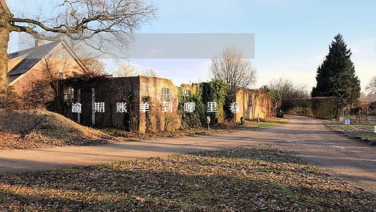 逾期账单到哪里看 逾期账单到哪里看