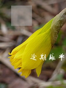 逾期账单啥意思 逾期账单啥意思