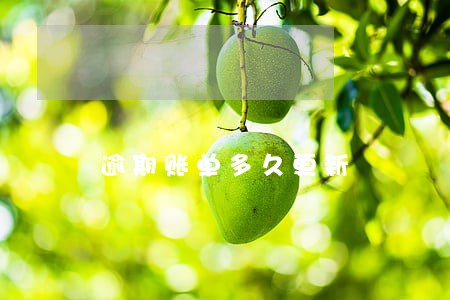 逾期账单多久更新 逾期账单多久更新