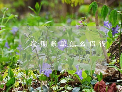逾期账单怎么借钱 逾期账单怎么借钱