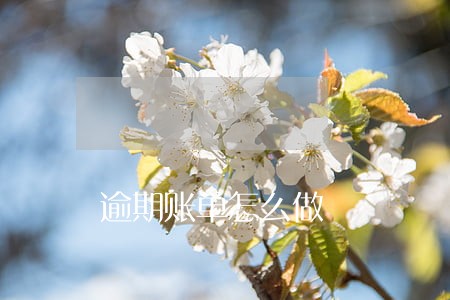 逾期账单怎么做 逾期账单怎么做