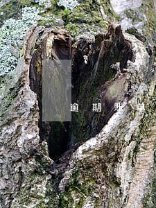 逾期账单怎么打印 逾期账单怎么打印