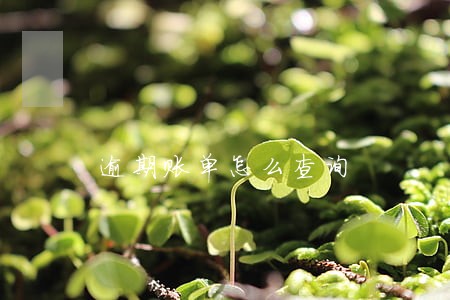 逾期账单怎么查询 逾期账单怎么查询
