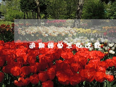 逾期账单怎么还款 逾期账单怎么还款