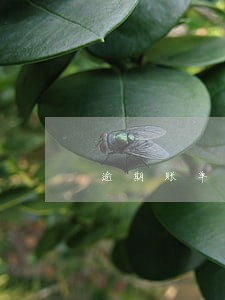 逾期账单抵扣顺序 逾期账单抵扣顺序
