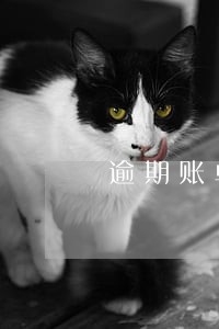 逾期账单提醒怎么找业务