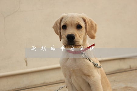 逾期账单无欠款 逾期账单无欠款