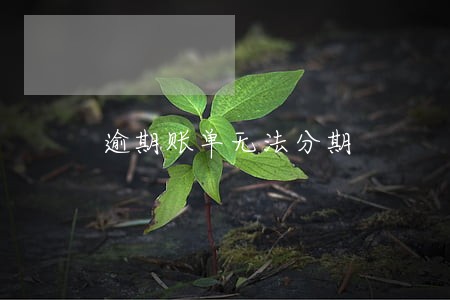 逾期账单无法分期 逾期账单无法分期