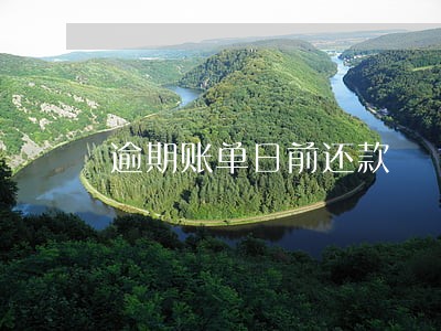 逾期账单日前还款 逾期账单日前还款