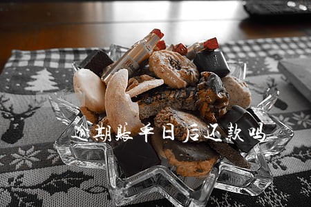 逾期账单日后还款吗 逾期账单日后还款吗