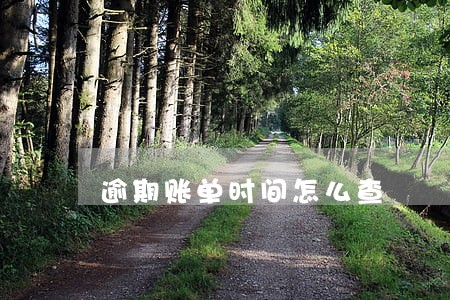 逾期账单时间怎么查 逾期账单时间怎么查