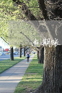 逾期账单是什么 逾期账单是什么