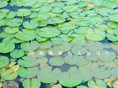 逾期账单有人帮我还 逾期账单有人帮我还