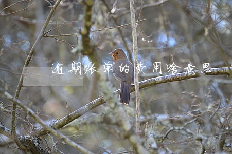 逾期账单的费用啥意思 逾期账单的费用啥意思