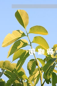 逾期账单短信