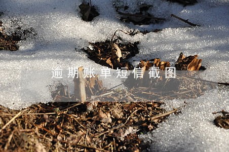逾期账单短信截图 逾期账单短信截图