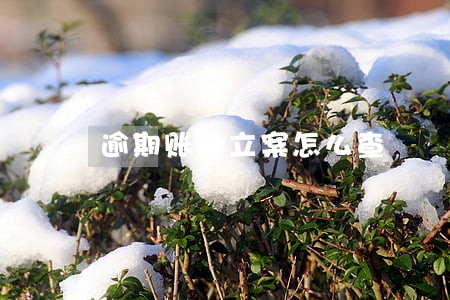 逾期账单立案怎么查 逾期账单立案怎么查