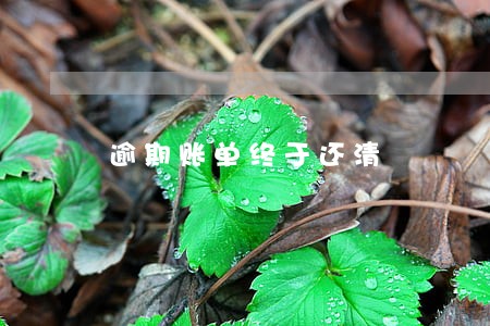 逾期账单终于还清 逾期账单终于还清