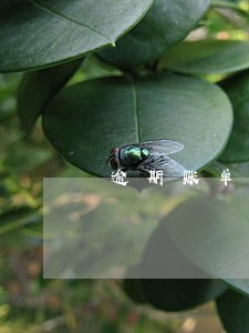 逾期账单能办理分期吗 逾期账单能办理分期吗