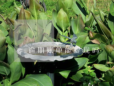 逾期账单能提现吗 逾期账单能提现吗