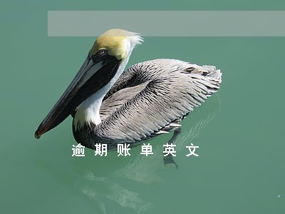 逾期账单英文 逾期账单英文
