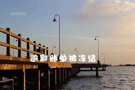 逾期账单被冻结 逾期账单被冻结