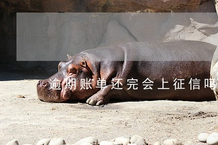 逾期账单还完会上征信吗 逾期账单还完会上征信吗