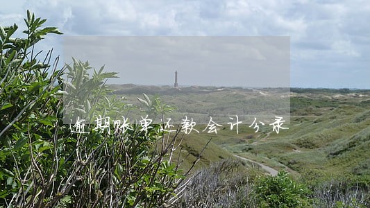 逾期账单还款会计分录 逾期账单还款会计分录