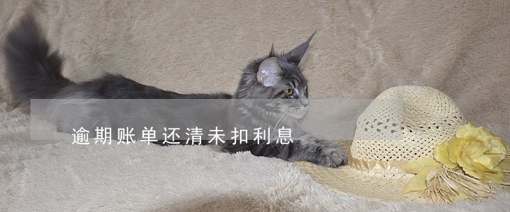 逾期账单还清未扣利息 逾期账单还清未扣利息