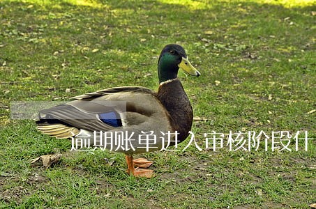 逾期账单进入审核阶段什么意思 逾期账单进入审核阶段什么意思