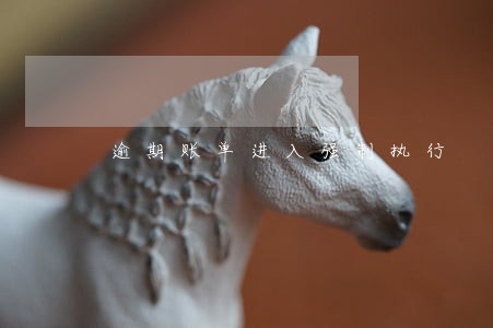 逾期账单进入强制执行 逾期账单进入强制执行