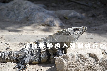逾期账单进入强制执行阶段啥意思 逾期账单进入强制执行阶段啥意思