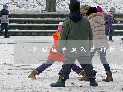 逾期账单进入执行阶段