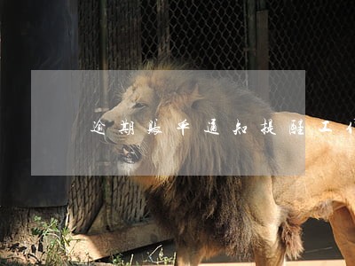 逾期账单通知提醒工作 逾期账单通知提醒工作