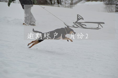 逾期账户1月份2