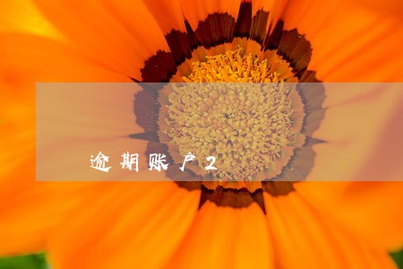 逾期账户2 逾期账户2