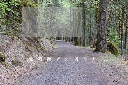 逾期账户2月份3 逾期账户2月份3