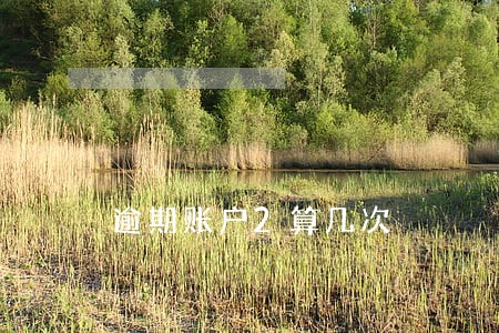 逾期账户2算几次 逾期账户2算几次
