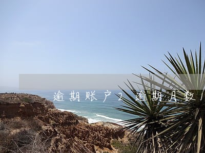 逾期账户2逾期月数1 逾期账户2逾期月数1