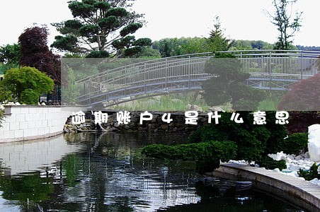逾期账户4是什么意思 逾期账户4是什么意思