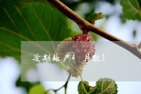 逾期账户4月数1 逾期账户4月数1