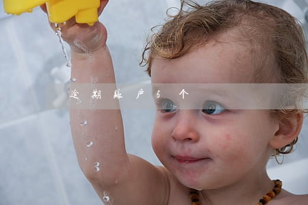 逾期账户5个 逾期账户5个