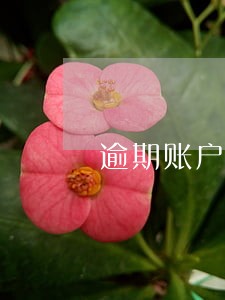 逾期账户一个可以办信用卡 逾期账户一个可以办信用卡