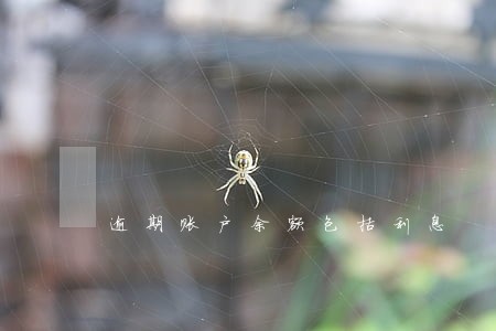 逾期账户余额包括利息 逾期账户余额包括利息