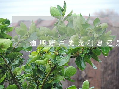 逾期账户先充利息还是本金 逾期账户先充利息还是本金
